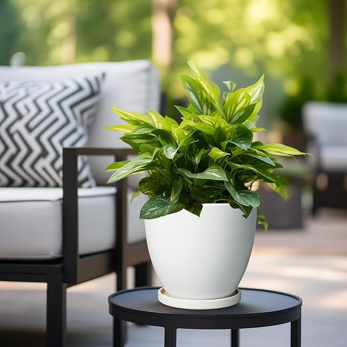 8 Inch Plant Pot - Ceraimc Planter for Indoor Outdoor Plants, Round Flower Pots with Drainage and Tray, House Decor, White