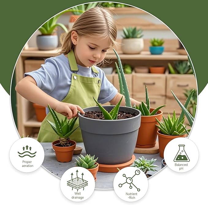 Aloe Vera Potting Soil Mix 2qt, Ready to Use for Seedling and Growing of Aloe Vera Plants or Other Houseplants