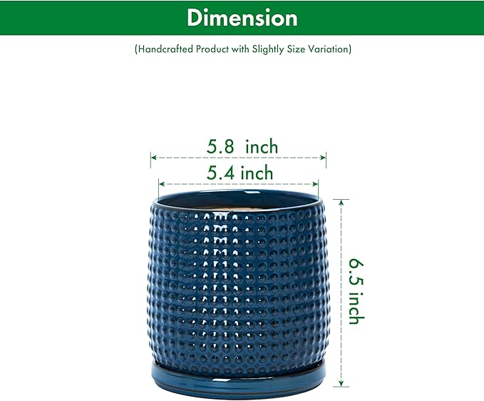 D'vine Dev 6 Inch Ceramic Beaded Stoneware Planter Pot - Flower Pot with Drainage Holes and Saucers for Indoor Succulent Plants or Flowers, Blue, 27-C-X-3