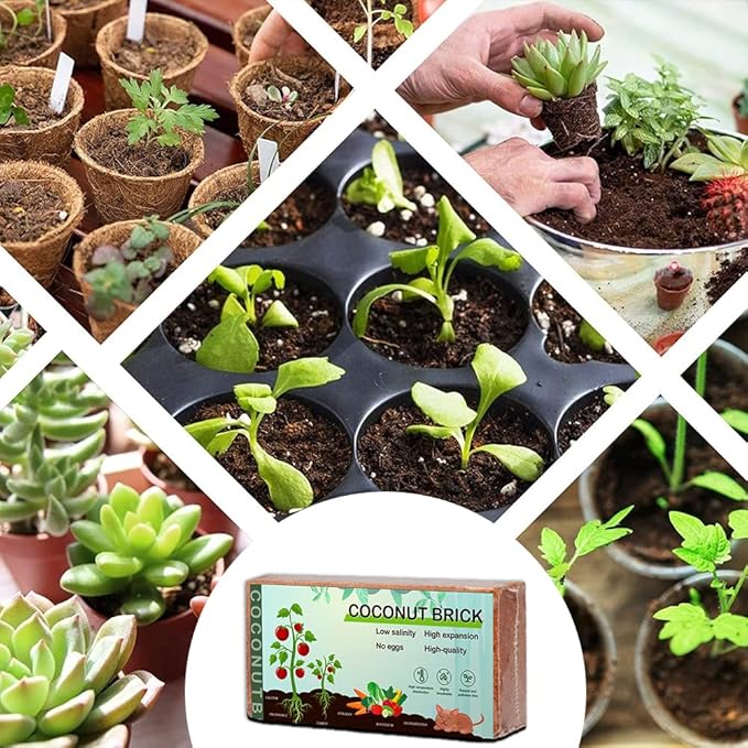 Premium Coco Coir Brick, 1.4Lbs High Nutrinent Coconut Soil, OMRI 100% Organic Low EC & PH Balanced Potting Soil for All Plants Gardening, Hydroponics and Green House (650G x 8)