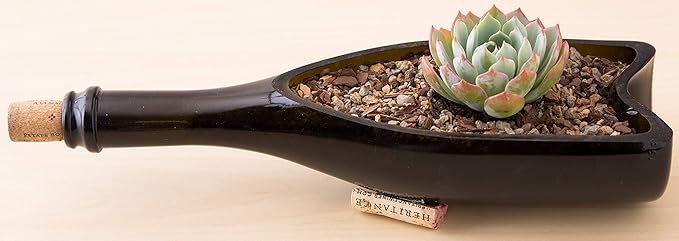 Succulent and Cactus Soil - Jacks Gritty Mix - 3 Gallons – Fast Draining – Fight Root Rot – Optimized pH