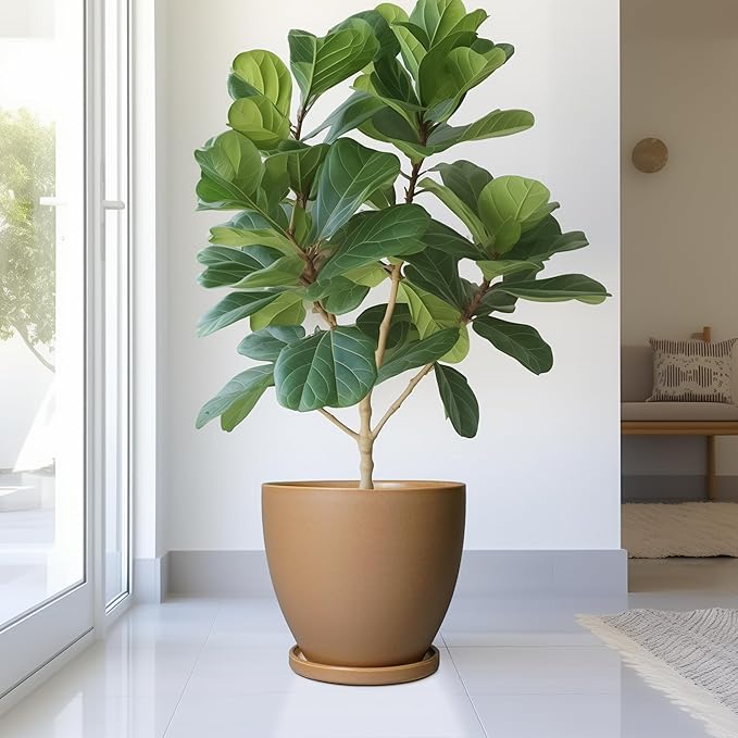 10 Inch Planter - Ceramic Pots for Plants, Planters with Drainage Hole and Tray, Modern Flower Pots Indoor, Home Living Room Patio Porch Garden Office Decor, Brown