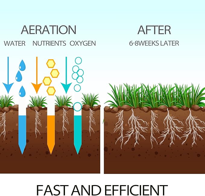 Walensee Lawn Spike Aerator, T-Handle, Manual Dethatching and Soil Aerating Tool with Four Iron Spikes, 35.5 Inches, Grey