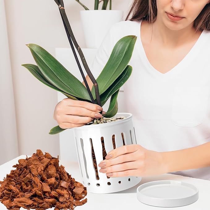 6 Inch Ceramic Orchid Pot with Large Slotted Holes, Orchid Planter for Enhanced Air Circulation, Orchid Pots with Drainage Tray, White