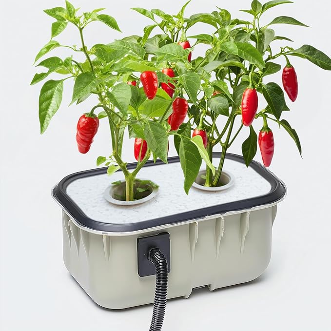 600+ Pepper Seeds, Heirloom Vegetable Seed for Planting Indoor Outdoor, 10 Varieties Hot and Bell Pepper Seeds Garden Kit, Non-GMO Home Fresh Food Hydroponic Veggie Supply