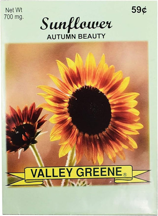Set of Flower Seed Packets! Flower Seeds in Bulk - Great for Creating The Garden of Your Dreams! (50, Autumn Beauty Sunflower)
