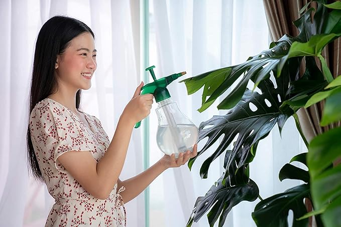 American Plant Exchange Monstera Deliciosa Split Leaf Plant, Live 10-Inch Plant Pot for Home and Garden Decor, Tropical Elegance with Edible Fruits, Air Purifying