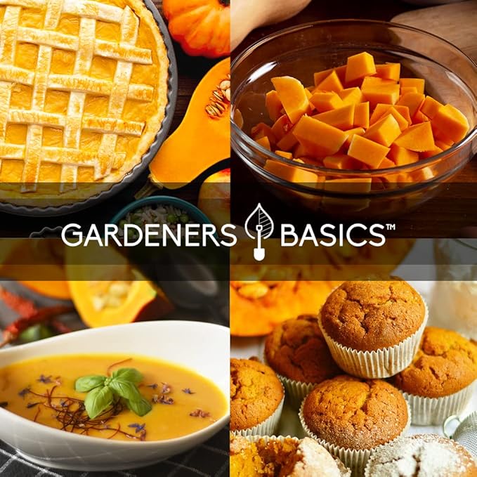 Gardeners Basics, Pumpkin Seeds to Plant - 5 Variety Baby Boo, Giant Big Max, Jack Be Little, Jack O Lantern, Sugar Pie, Great for Pumpkin Seed for Summer, Fall, Pumpkin Seeds for Planting