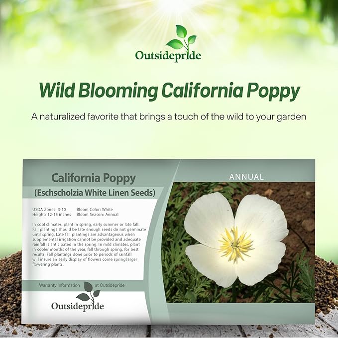 Outsidepride 5000 Seeds Annual Eschscholzia California Poppy White Linen Wild Flower Seeds