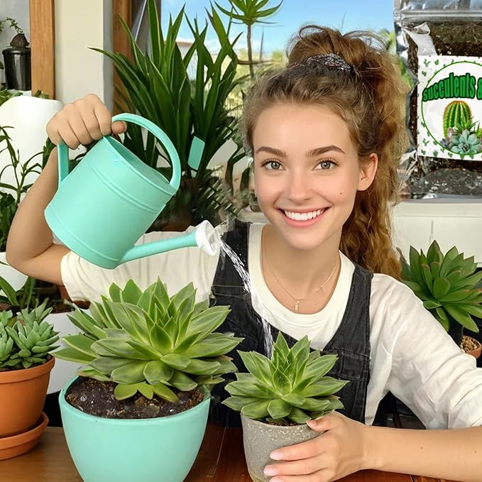 Cactus and Succulent Soil Potting Mix 10qt, Well Draining Chunky Soil Mix for Indoor Plants, Gritty Soil for Healthy Indoor Plants - Spike & Bloom