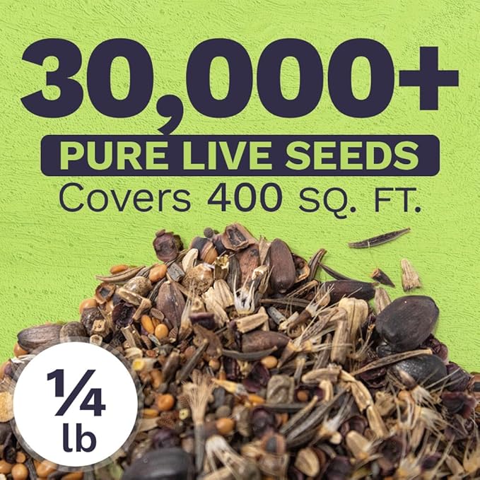 Bee Friendly Wildflower Seed Mix - Bulk 1/4 Pound Bag - Over 30,000 Open Pollinated Seeds - 100% Pure Live Seed - Save The Bees!