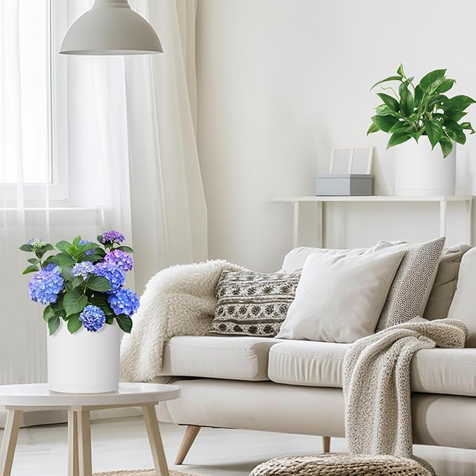 8 Inch Cylinder Plant Pots for Indoor Outdoor Plants, Medium Deep Flower Pots with Drainage Holes & Saucer, Decorative Plastic Planter Pots for Garden House Plants, White