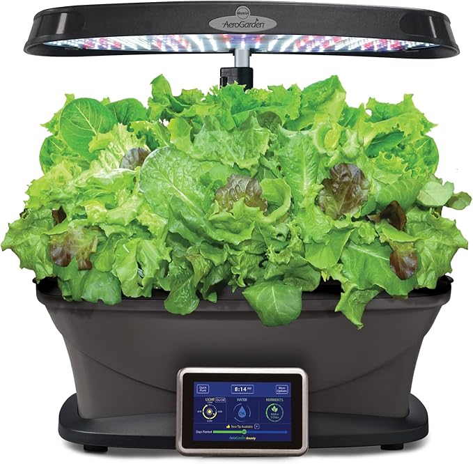 Aerogarden Salad Greens Seed Pod Kit with Red, Green, Romaine and Butter Leaf Lettuce, Liquid Plant Food and Growing Guide (9-Pod)