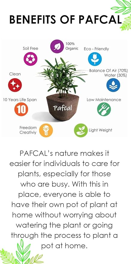 PAFCAL Chips for Indoor and Outdoor | Sponge for Plants | Garden Wall Decoration | Vegetable Growing Kit | Organic Sponge for Plants Landscape and Nursery Pots | Soil Replacement | 0.5kg (Pafcal 500)