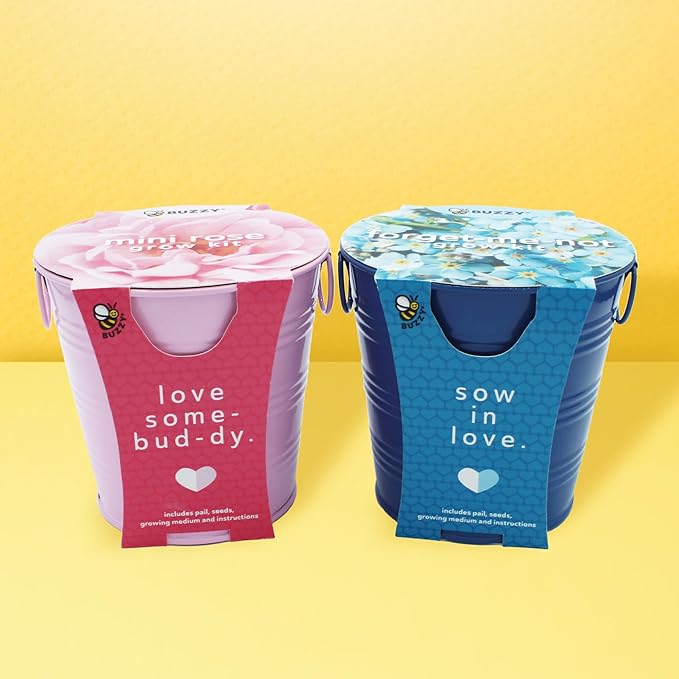 Buzzy Seeds Painted Love Pails | Flower Starter Kit for Kids & Adults | 2-Pack | Mini Rose and Forget-Me-Not Seeds | Guaranteed to Grow | Best Indoor Grow Your Own Plant Gardening Gift