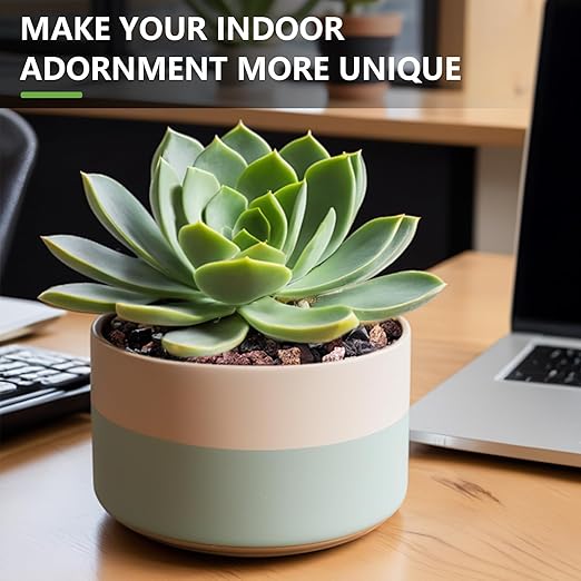 5 lbs Lava Rocks for Plants, 1/5 Inch Pea Gravel for Pots Indoor, Succulent, Terrarium, Cactus, Bamboo, Bonsai Tree, Mixed Color Volcanic Rocks for Top-Dressing, Good Drainage