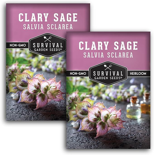 Survival Garden Seeds - Clary Sage Seed for Planting - 2 Packs with Instructions to Plant & Grow Salvia Sclarea Medicinal Herbs in Your Herbal Garden - Non-GMO Heirloom Variety