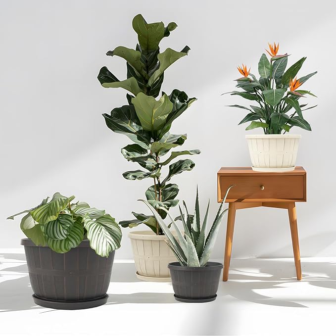 Quarut 14 Inch Plastic-Flower-Pot-for-Indoor-Plants, 4 Pack Large Outdoor Planter Pot with Drainage Holes & Saucers, Resin Decorative Garden Pots Planters（Beige）