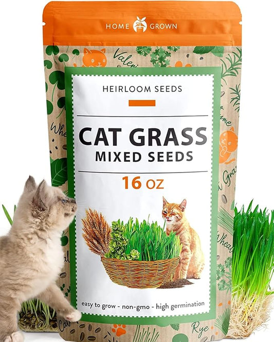 1 Pound Cat Grass Seeds for Cat & Kittens - 100% 𝗡𝗢𝗡-𝗚𝗠𝗢 𝗨𝗦𝗔, Heirloom | Grow Fresh Kitty Grass for Chewing | Pet Grass for Cats Indoor Garden | Wheatgrass Seeds for Pets | Healthy Cat Greens