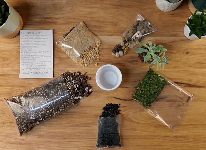 Succulent Planter Kit - Terrarium Kit with Succulent Soil, Gravel, Pebble, Moss,