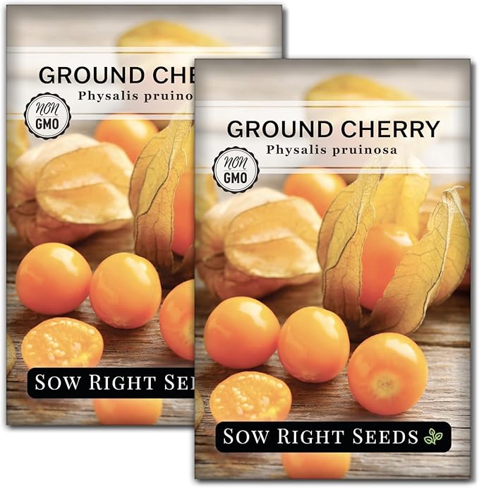 Sow Right Seeds - Ground Cherries Seeds for Planting - Non-GMO Heirloom Packet with Instructions to Plant an Outdoor Home Vegetable Garden - Mexican Husk Tomato - Endangered Variety (2)