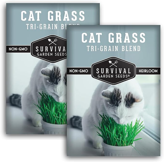 Cat Grass Seed for Planting - 2 Packets with Instructions to Plant & Grow Greens for Your Pet Indoors or Outdoors in a Container or Garden - Non-GMO Heirloom Variety - Survival Garden Seeds