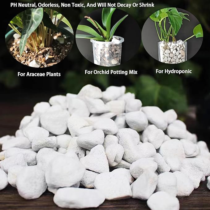 Natural 1-2CM Hard Chunky Perlite 2QT for Plants Horticultural Coarse Organic Pearlite Bulk Potting Mix Garden Soil Amendment for Enhanced Drainage and Ventilation for Orchid, Dendrobium, Araceae