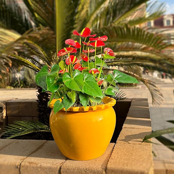 African Violet Flower Pot Self Watering Plant African Violet Planter Pot Yellow Ceramic Pot Maintenance Plant Seeder Planting 6.5 * 4.6 Inch High Absorption Plant Inner Flower Pot