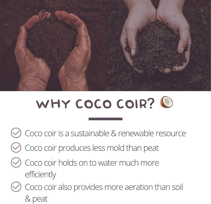 Pure Coconut Coir Netted Seed Starting Pellets - 42mm - Pack of 100 - Sustainable, Renewable, Unamended - Superior to Peat Plugs - High Water Holding - Minimize Root Loss & Transplant Shock