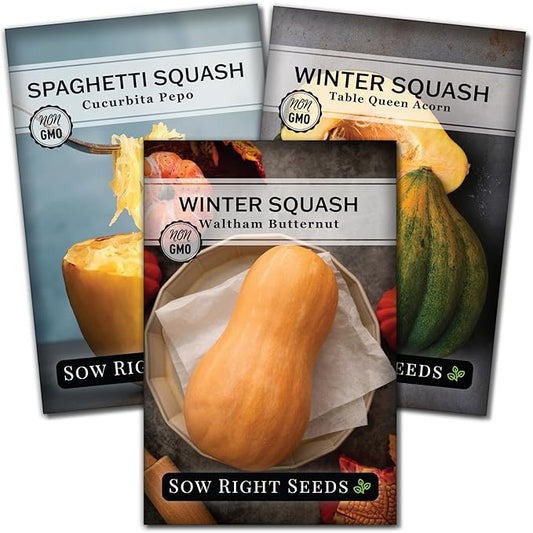 Sow Right Seeds - Winter Squash Seed Collection for Planting - Spaghetti, Waltham Butternut and Acorn Table Queen Squash Seeds, Non-GMO Heirloom Seeds to Plant a Home Vegetable Garden