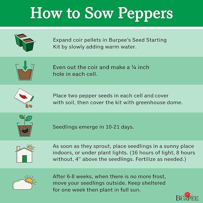 Burpee Fish Hot Pepper Seeds 30 seeds