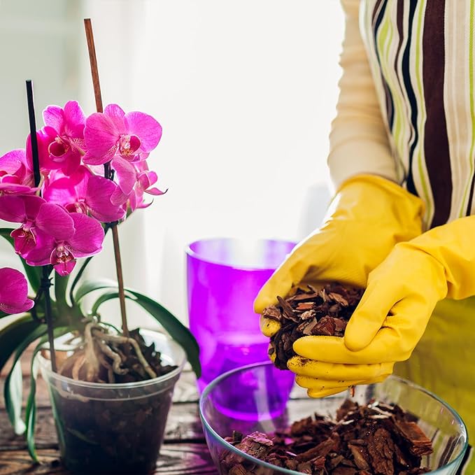 Pine Bark 1qt for Orchid Potting Mix, Organic Tree Bark Mulch for Potted Plants, Enhanced Drainage, Air Flow & Root Ventilation, Ideal for Phalaenopsis, Cattleyas, Dendrobiums