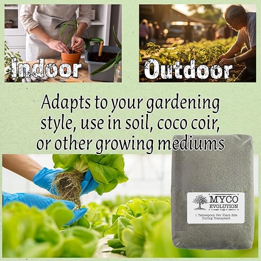 Mycorrhizae Root Fungi Endo Granular Mycorrhizal 134 Spores Mycos Myko (2lb)