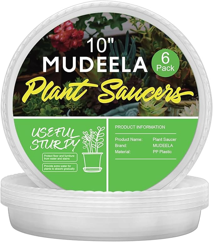 MUDEELA 6 Pack of 10 inch Plant Saucer, Durable Plastic Plant Trays for Indoors, Clear Plastic Flower Plant Pot Saucer, Made of Thicker, Stronger Plastic, with Taller Design