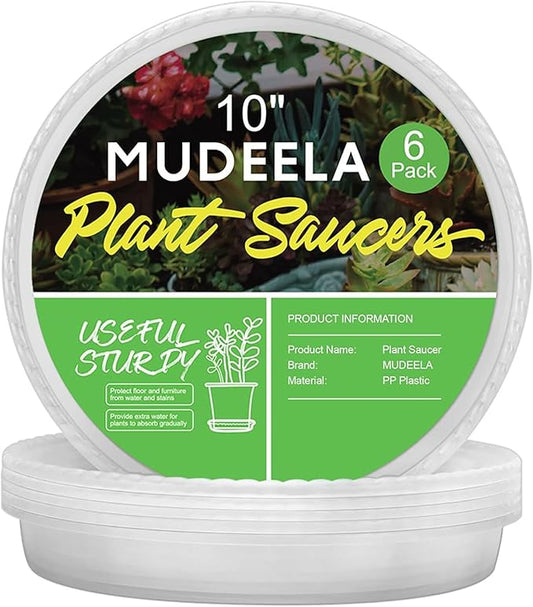 MUDEELA 6 Pack of 10 inch Plant Saucer, Durable Plastic Plant Trays for Indoors, Clear Plastic Flower Plant Pot Saucer, Made of Thicker, Stronger Plastic, with Taller Design