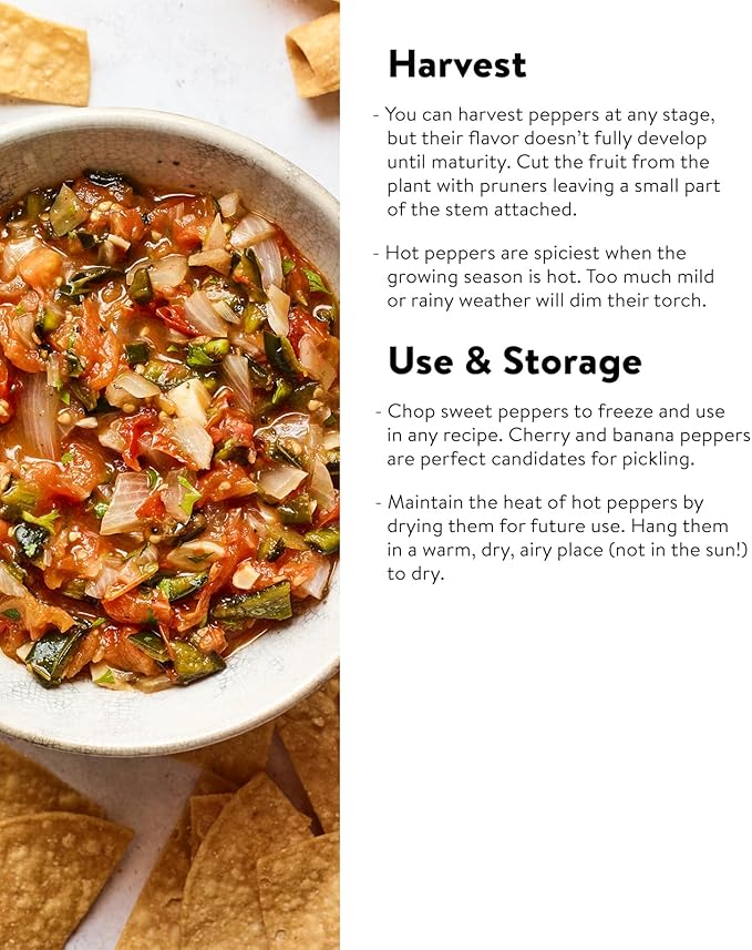 Burpee Blazing Banana Hot Pepper Seeds 25 seeds