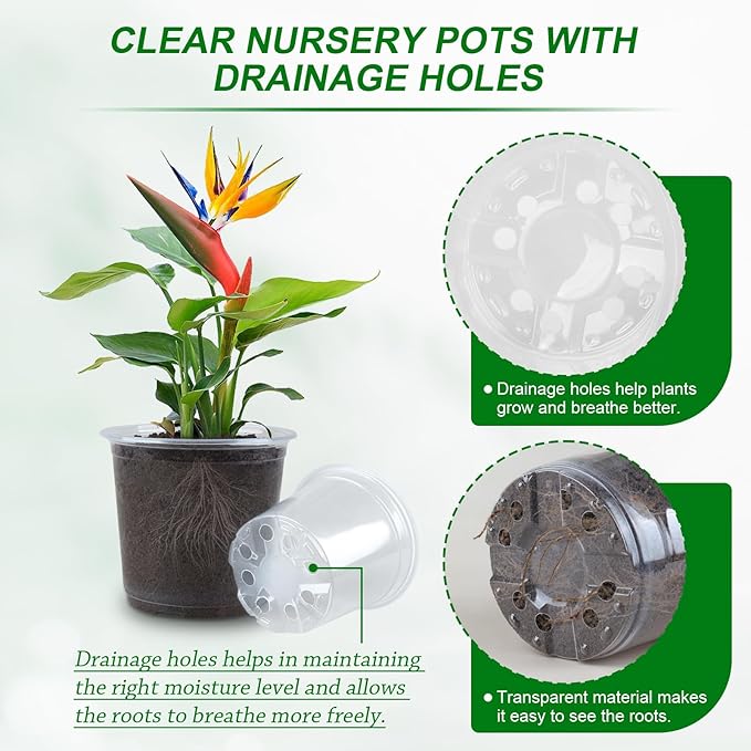 RAOOKIF 50 Pack Clear Nursery Pots Variety Pack, 7/6/5/4/3.5 Inch Clear Nursery Pot for Plants, Plastic Plant Pots with Drainage Holes, Garden Pots for Flower Seedling, Cuttings, Transplanting