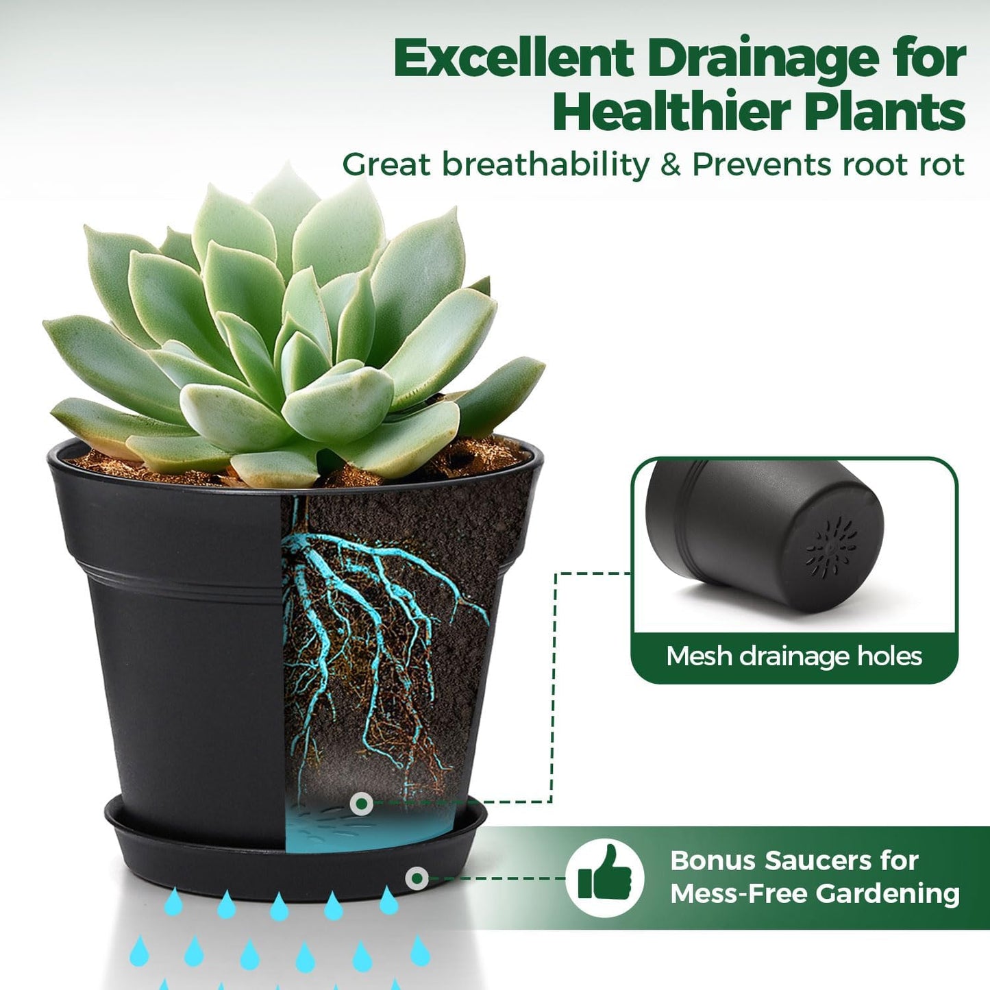 T4U 7.5 Inch Plant Pots 6 Pcs, Flower Pots for Indoor Plants Plastic Pots for Plants with Drainage Holes and Saucer, Planters for Indoor Plants for House Cactus Succulent Black