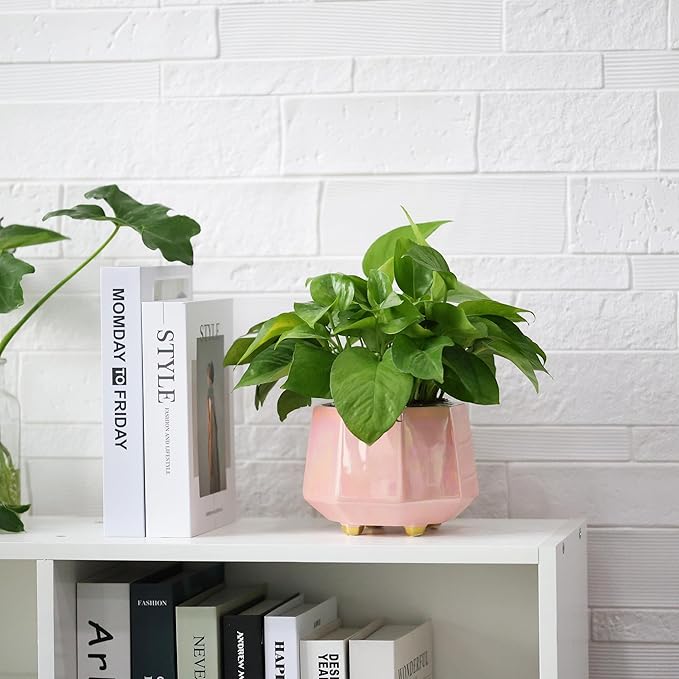 6 Inch + 4 Inch Ceramic Planter for Indoor Plants - Plant Pots with Drainage Hole - Modern Minimalist Flower Pot for Succulents and Herbs, Pink