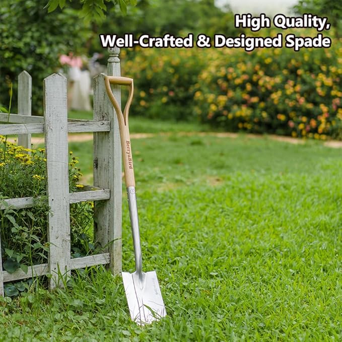 Berry&Bird Garden Digging Spade, 41" Stainless Steel Square Border Spade, Heavy Duty European Shovel with D-Grip Handle, Traditional English Style Flat Shovel for Digging, Yard Work, Transplanting