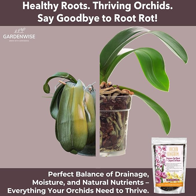 Orchid Potting Mix – Orchid Bark, Sphagnum Moss, Tree Fern & Perlite for Repotting Phalaenopsis Orchids, Indoor Plants, Orchid Soil Medium – Sustrato para Orquídeas (10 Quart)