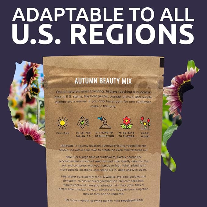 Autumn Beauty Sunflower Seeds – Bulk 1/4 Pound Bag – Over 5,000 Open Pollinated Non-GMO Wildflower Seeds – Helianthus annus – Beautiful Shades of Gold, Bronze, Yellow, and Purple