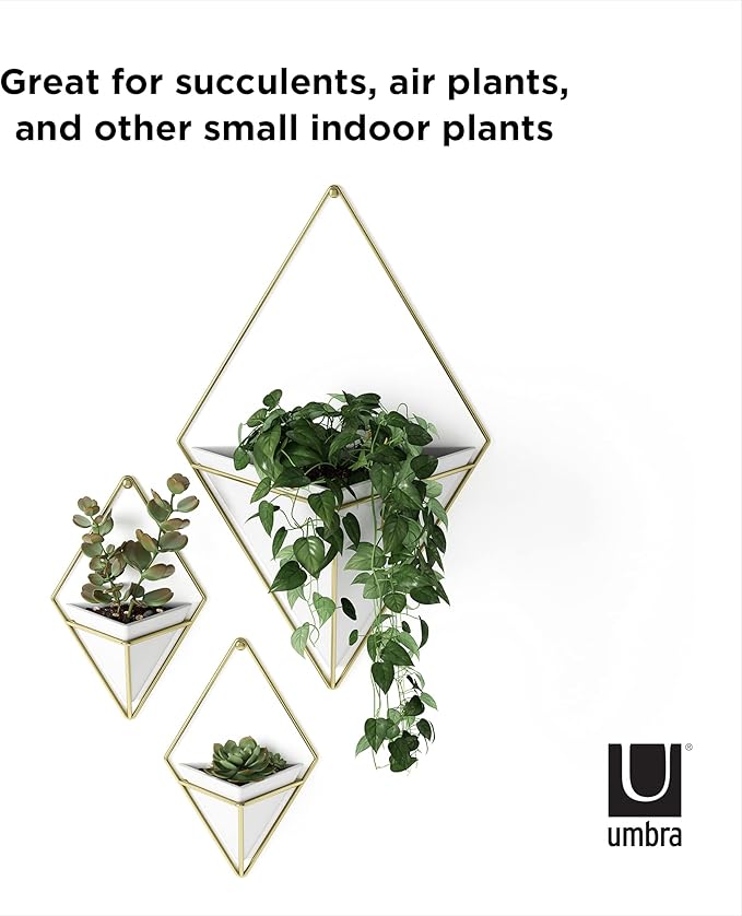 Umbra Trigg Hanging Planter Vase Wall Decor, Set of 2 Pots Containers for Succulents, Cactus, Faux Plants, and More, Small, White/Brass