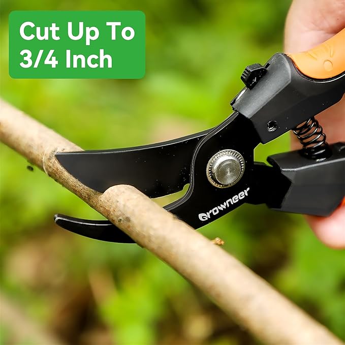 GROWNEER Bypass Pruning Shears, 8 Inch Teflon Coated Plant Scissors, Hand Pruners for Gardening, Garden Clippers Handheld, Hedge Trimmers with Sap Groove and Lanyard for Branch, Flower, Bonsai