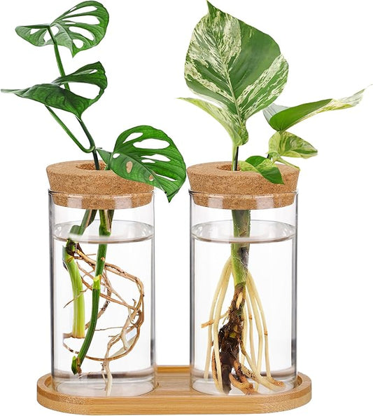 Plants Propagation Station - 2Pcs Desktop Plant Terrarium Glass Hydroponic Vases, Water Plant Propagating Jars, Gardening Gifts for Women Mom Plant Lovers (Thin Straight Shape, Conjoined Tray Style)