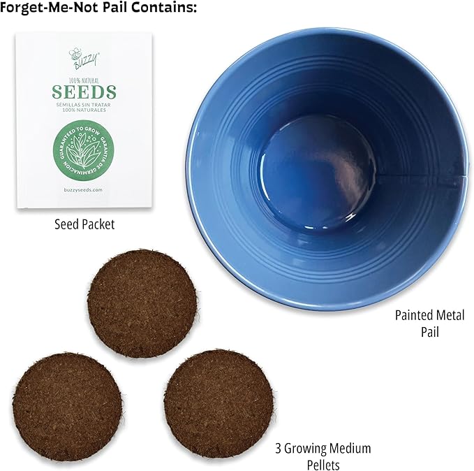 Buzzy Seeds Painted Love Pails | Flower Starter Kit for Kids & Adults | 2-Pack | Mini Rose and Forget-Me-Not Seeds | Guaranteed to Grow | Best Indoor Grow Your Own Plant Gardening Gift