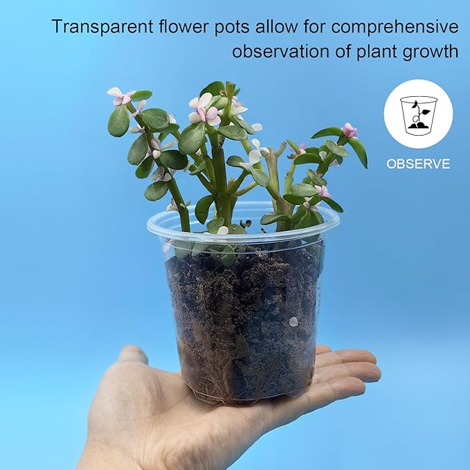 3.5" Clear Seeding Pots 20 Pack Round for Seeds Starter Pots, Seeds Germination Transparent Nursery Pots with Drainage Holes (Clear,3.5Inch,20PCS)