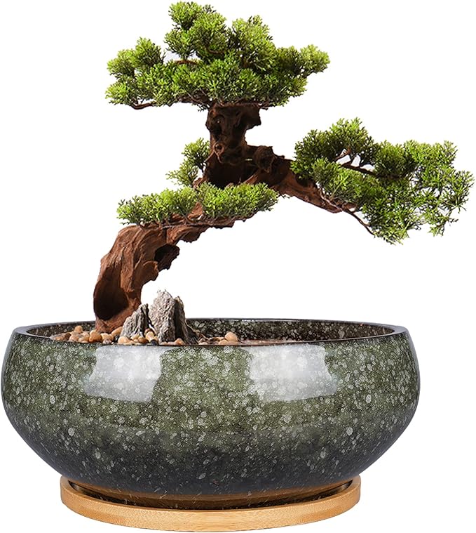 8 Inch Ceramic Bonsai Planter Pot, Glazed Shallow Succulent Planter with Drainage Hole and Bamboo Saucer for Indoor Plants, Green