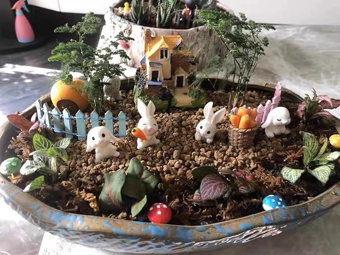 Horticultural Akadama Soil - Cactus Bonsai Succulent Soil Additive for Plants, Landscaping, Vase Fillers (6 LB, 1/4 inch)