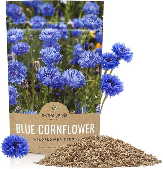 Blue Cornflower Seeds – Bachelor Buttons – Bulk Quarter Pound Bag – Over 20,000 Open Pollinated Non-GMO Wildflower Seeds – Centaurea cyanus